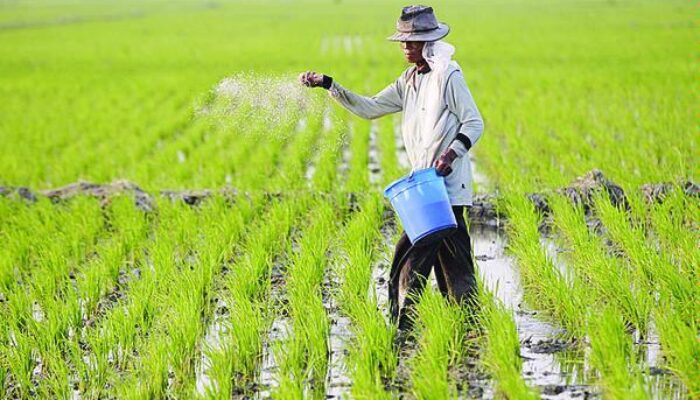 Tahun 2016, Anggaran Infrastruktur Dialihkan Untuk Pertanian