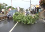 Air Drainase Meluap Di Jalan Protokol Lampura