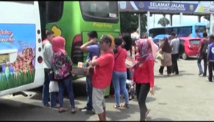 Harga BBM Turun Tak Pengaruhi Tarif Bus AKDP