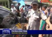 Spesialis Pencuri Hewan Ternak Tewas Di Keroyok Masa