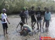 Kondisi Hutan Mangrove Lampung Menghawatirkan!!!