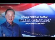 Jelang Pilkada 2017 , Fokus Musda,Demokrat Belum Pikirkan Pilkada