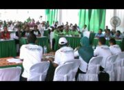 Gapuspindo Bantu Petani Sapi Gapuspindo Siap Jembatani Petani Sapi Untuk Maju