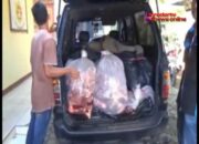 600 Kilo gram Daging Celeng Diamankan