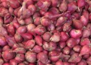 Harga Kebutuhan Bahan Pokok Di Bandar Lampung Masih Mahal