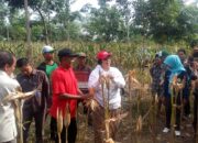 Kunker Menteri LHK Ke Provinsi Lampung Tinjau Pemanfaatan Fungsi Hutan Untuk Pertanian dan Perkebunan