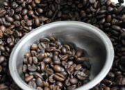 Komunitas Kopi Robusta dan Lada Hitam Lampung Ajukan Perlindungan Hukum Indikasi Geografis