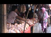 Harga daging ayam potong  mencapai 55 ribu perekor