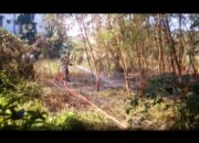 Lahan Kosong di Tengah Kota Diduga Sengaja di Bakar