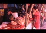 Harga Ayam Potong Capai 65 ribu Perekor