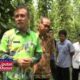 PEMKAB dan DISHUTBUN Siap Sejahterakan Petani Lada di Lampung Timur