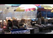 Pedagang Belut Raup Untung Berlipat