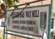 PLT Kadis Kesehatan Lamtim Diduga Tilep Obat