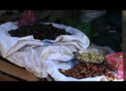 Harga Jengkol Tembus 55 Ribu Rupiah Perkilo