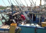 Empat Bulan Tempat Pelelangan Ikan Tak Beroperasi