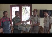 BKSDA Akan Lepas Liarkan Ribuan Burung Hias Hasil Sitaan  BKP