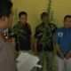 Tanam Puluhan Batang Ganja Di Halaman Rumah, Warga Natar Ditangkap Polisi