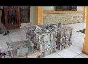 Balai Karantina Pertanian Bandar Lampung Amankan Ribuan Burung Hias