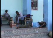 Diduga Masuk Secara Ilegal Diamankan Saat Menyebrangi Pelabuhan Bakau Heni