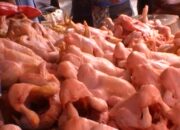 Jelang Natal Dan Tahun Baru, Dinas Peternakan Siapkan 38.000 Ekor Sapi dan 4,5 Juta Ekor Ayam