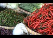 Harga Cabai Merah Di Bandar Lampung Capai 75 Ribu Perkilogram