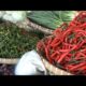 Harga Cabai Merah Di Bandar Lampung Capai 75 Ribu Perkilogram