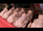 Jelang Tahun Baru, Harga Ayam Potong Naik