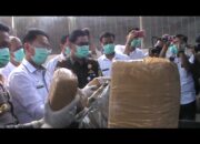 Pemusnahan Barang Bukti Kejari Bandar Lampung Musnahkan Ratusan Kilo Ganja dan Ribuan Butir Exstasi