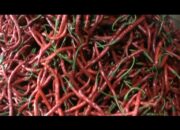 Sempat Turun, Harga Cabe Merah Kembali Alami Kenaikan