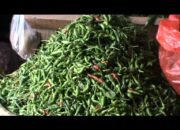 Dampak Harga Cabai Mahal, Daya Beli Masyarakat Terus Menurun