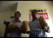 Selundupkan Ganja 11 Kg Kelampung, Remaja Asal Aceh Ditembak Polisi