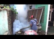 Antisipasi DBD Meluas, Dinkes Kota Bandar Lampung Lakukan Fogging