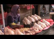 Harga Ayam Potong Disejumlah Pasar Tradisional Kota Bandar Lampung Mulai Stabil