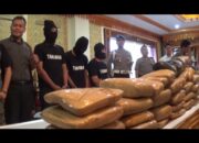 Puluhan Kilogram Ganja dan Ratusan Gram Sabu Berhasil Diamankan