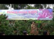 Dinas Perkebunan dan Peternakan Fokus Tingkatkan Budidaya Kopi dan Tebu