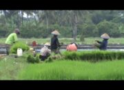 Komisi II DPRD Provinsi Lampung Pantau Program E-Billing