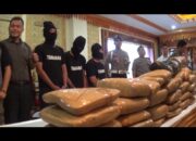 Polda Lampung Selidiki Kepemilikan Puluhan Daun Ganja Hingga ke Sumut