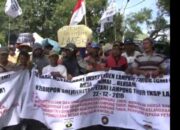 Tolak Beli Singkong, Petani Protes Pabrik Tapioka