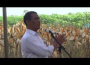 Menteri Pertanian Pastikan Harga Jagung di Lampung Naik