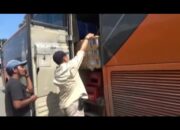 Ribuan Ekor Burung Tanpa Dokumen Berhasil Digagalkan Petugas