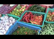 Warga Tolak Pemerintah Impor Cabai Kering