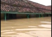 Dinsos Lamtim Hanya Beri Bantuan Warga 10 Dus Mie Instan