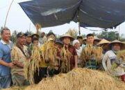 Gubernur Lampung mengapresiasi upaya petani hingga meraih surplus dan menempati peringkat terbaik ke-4 se- Indonesia