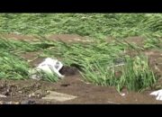 Komisi V DPRD Provinsi Lampung Segera Panggil Dinsos Provinsi Lampung