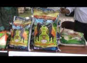 Meski Banyak Alami Gagal Panen, Cadangan Pangan Lampung Aman