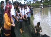 Panen Ikan Nila,Pemkab Gandeng Kelompok Tani