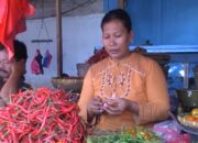 Pertahun, Produksi Cabai Merah Capai 15 Ton