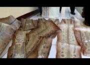 Penyelundupan Kulit Ular Bernilai Puluhan Juta Rupiah Digagalkan Petugas