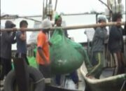 Dinas Perikanan Lamtim Diduga Terima Setoran Pemilik Jaring Pukat Harimau