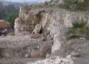 Jaga Kelestarian Hutan Untuk Masa Depan